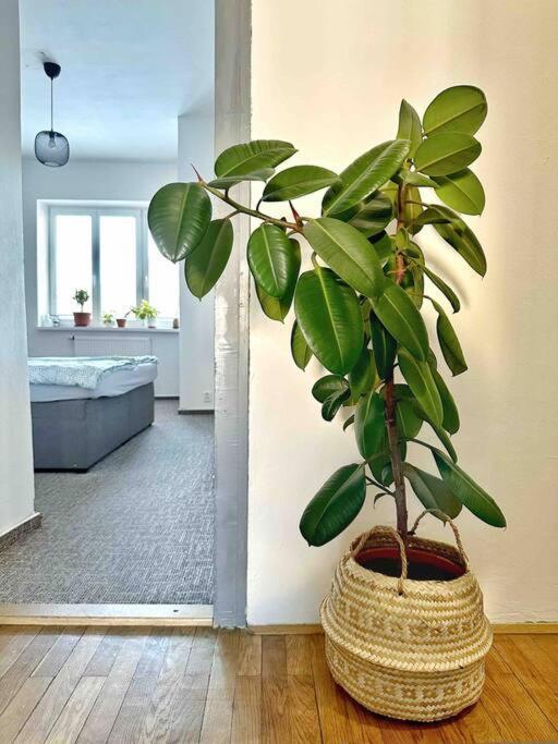 Bright And Central Suite With A Balcony Brno Bagian luar foto