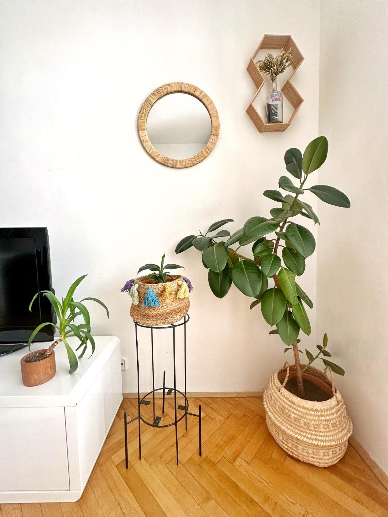 Bright And Central Suite With A Balcony Brno Bagian luar foto
